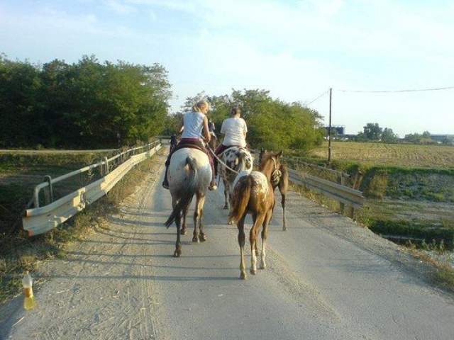 15768_1170291779437_1292263772_30447399_40195_n